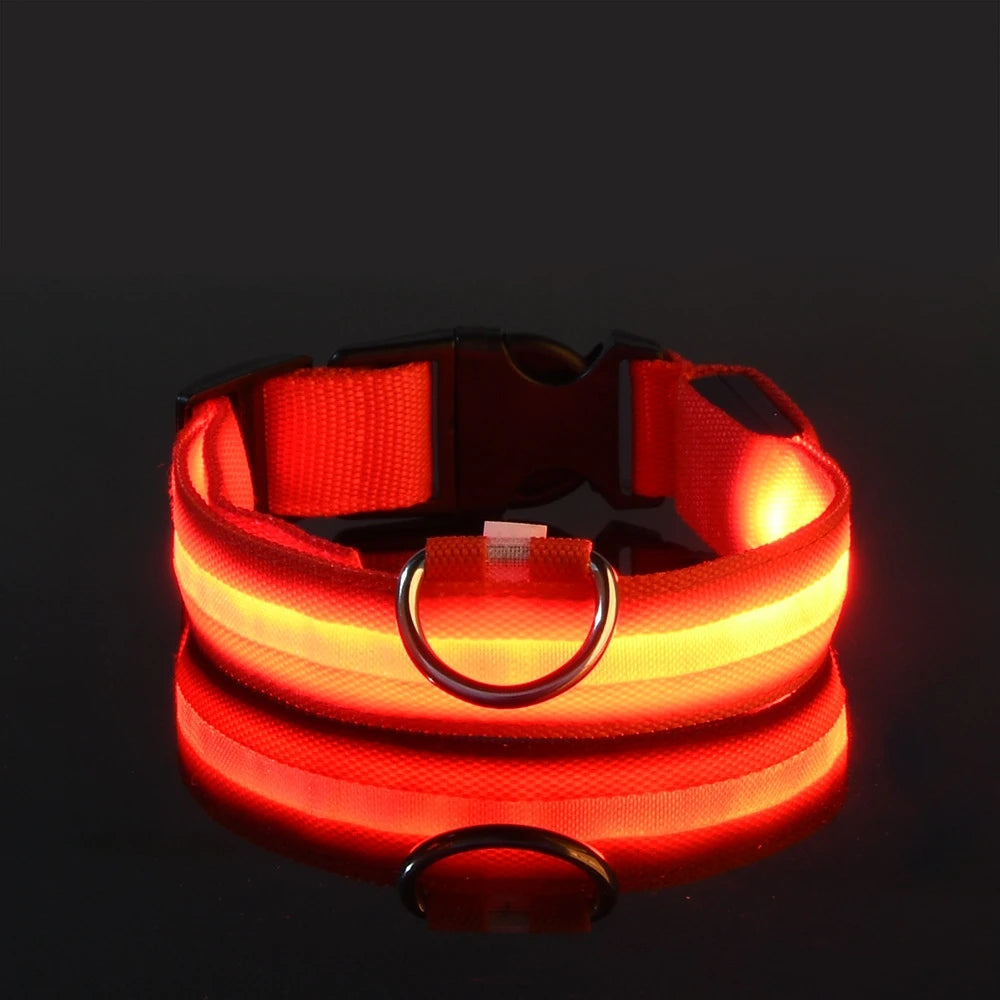 Nylon LED safety leash for dogs — nighttime glow effect
