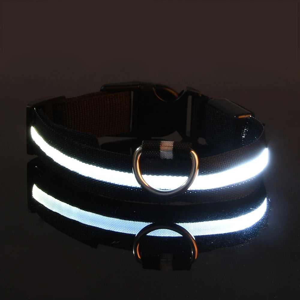 LED glow-in-the-dark dog leash — full product view