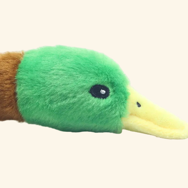 Squeaky Plush Duck Dog Toy — Soft Chew & Rope Toy for Dental Health — product photo
