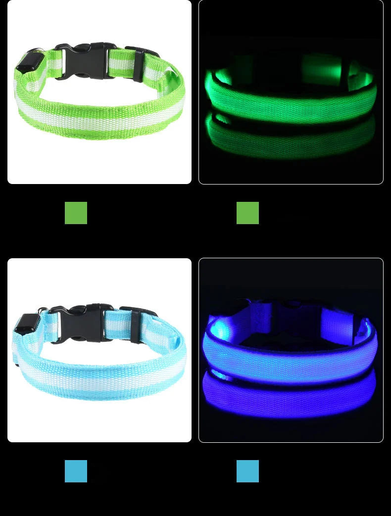 LED glow-in-the-dark dog leash — safety leash for evening walks