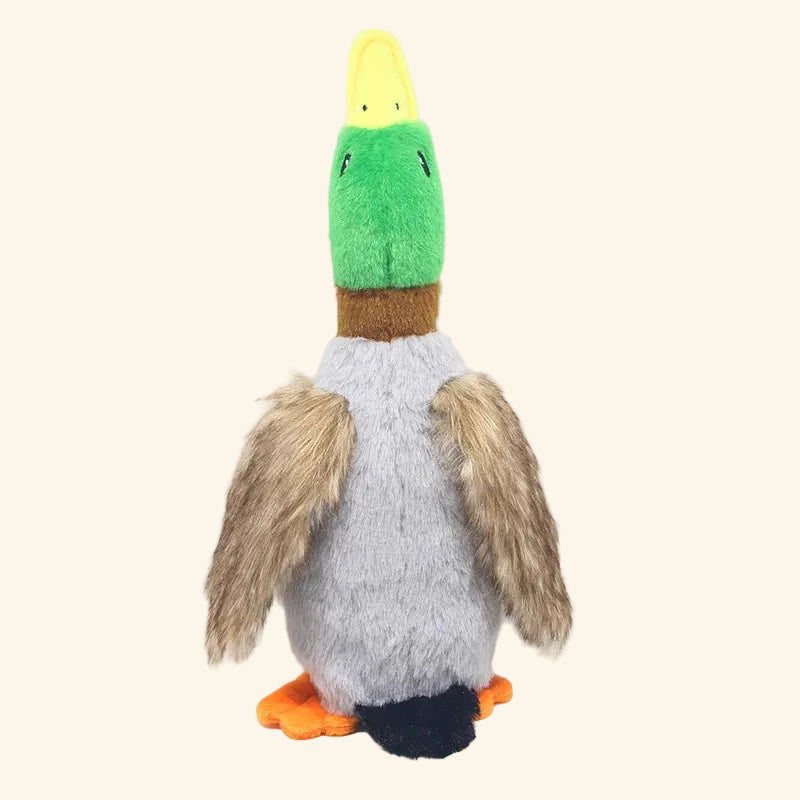 Squeaky Plush Duck Dog Toy — Soft Chew & Rope Toy for Dental Health — additional angle