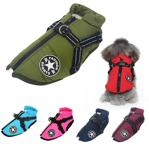 Waterproof Winter Dog Jacket with Harness shown in use