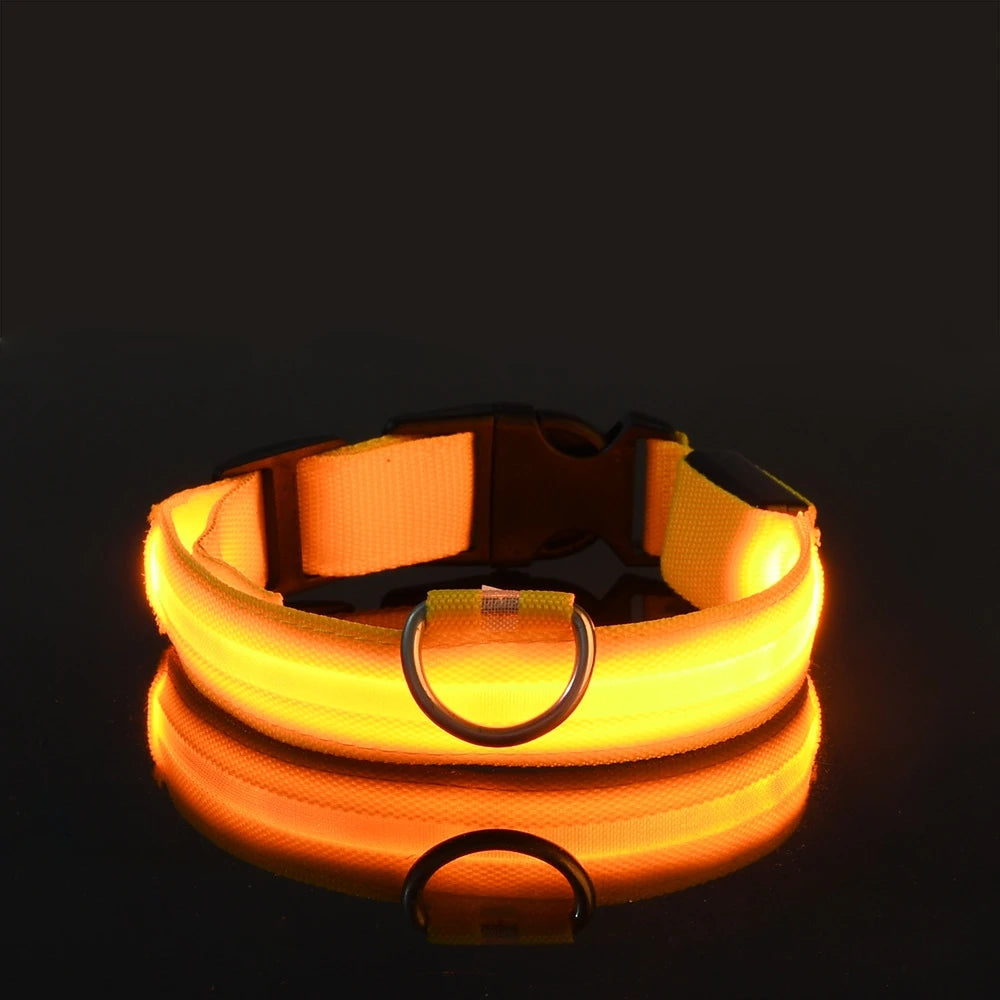 LED glow-in-the-dark dog leash — nighttime visibility for pet walks