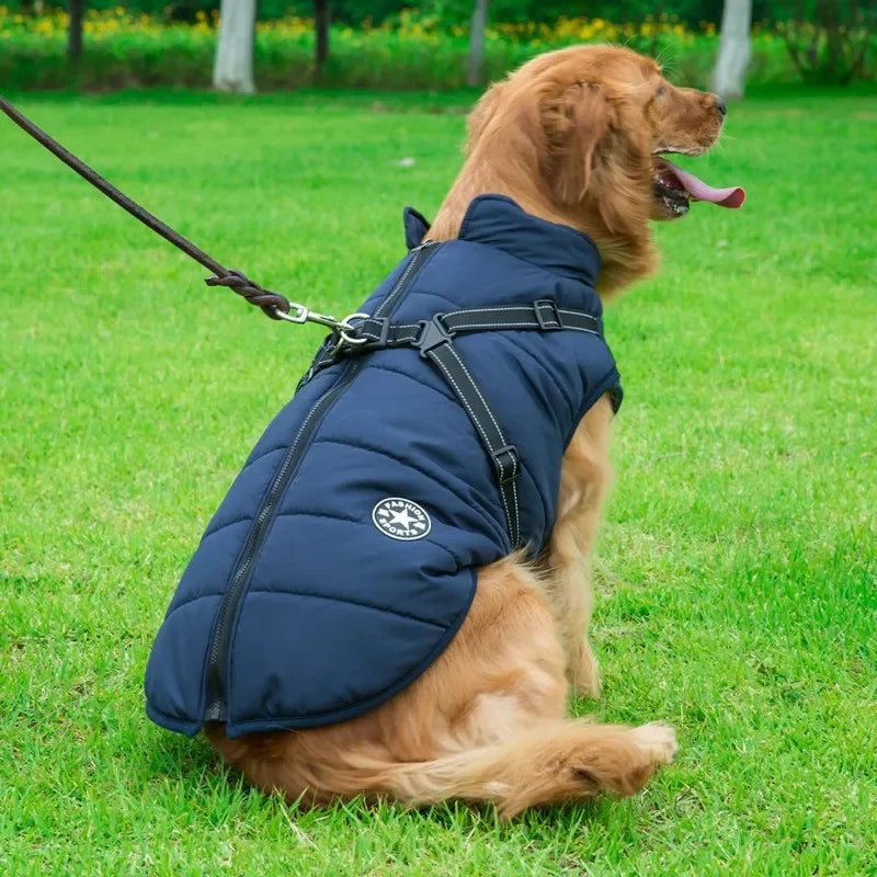Waterproof Winter Dog Jacket with Harness — product photo