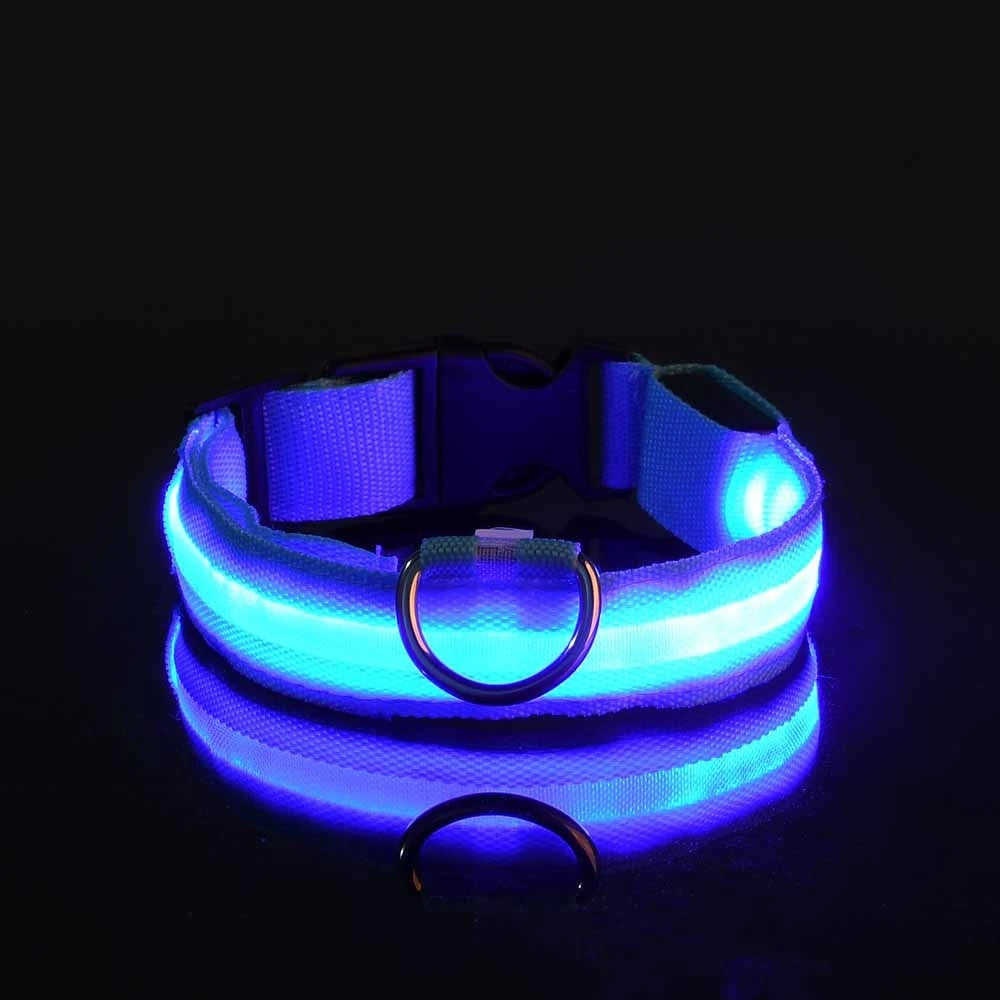 LED dog leash — matching collar and leash set