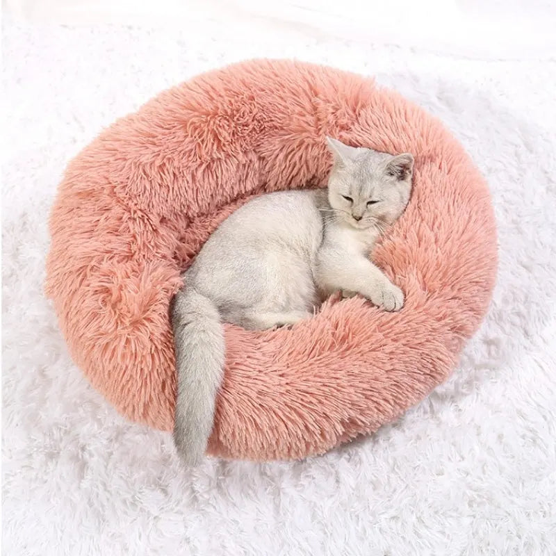 Plush Round Pet Bed – Warm Cozy Bed for Small & Medium Dogs and Cats — lifestyle photo