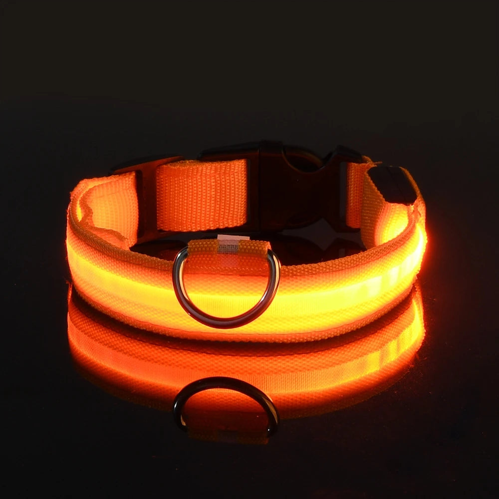 LED glow-in-the-dark dog leash packaging and accessories
