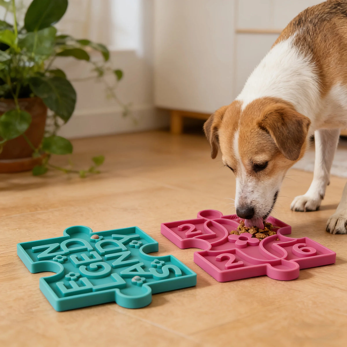 The Calm Paws Lick Mat