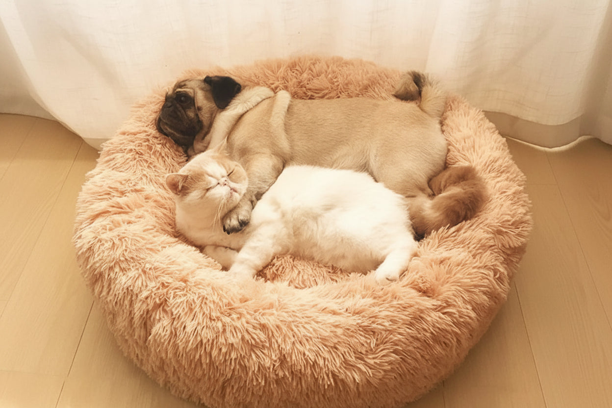 Plush Round Pet Bed – Warm Cozy Bed for Small & Medium Dogs and Cats — full product view