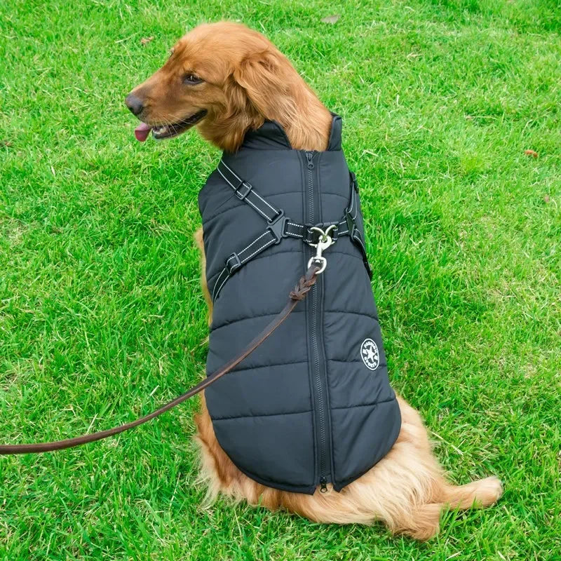 Waterproof Winter Dog Jacket with Harness — detail close-up
