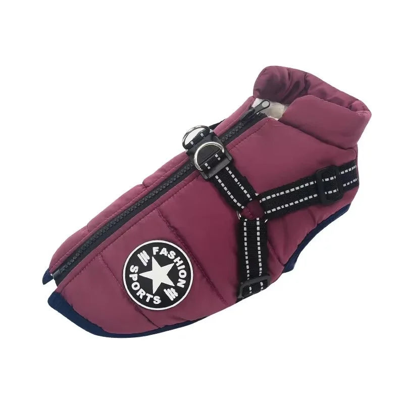 Waterproof Winter Dog Jacket with Harness — lifestyle photo