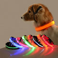 LED glow-in-the-dark dog leash — nylon safety leash with flashing light