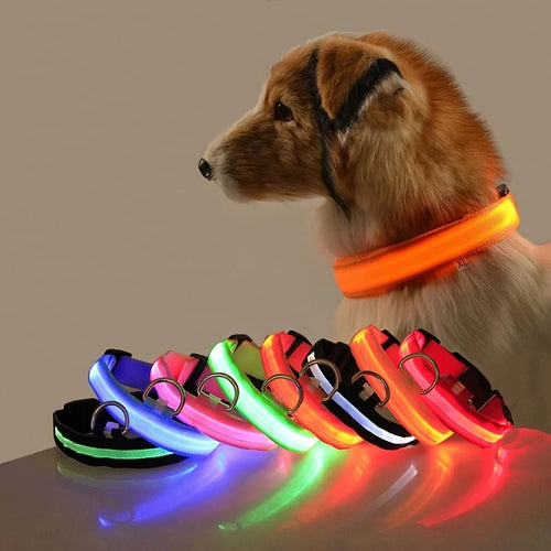 LED glow-in-the-dark dog leash — nylon safety leash with flashing light