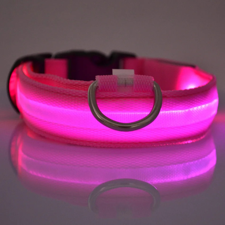 LED dog leash color options — nylon safety leash with flashing light