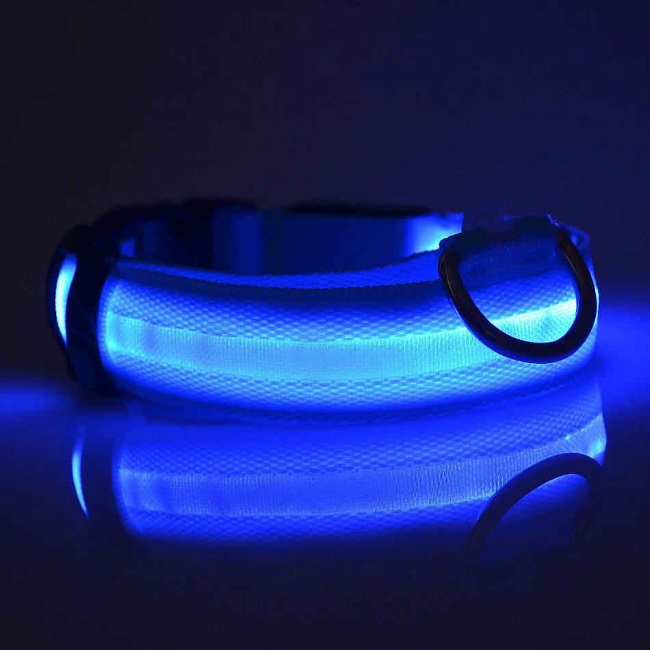 LED dog leash — luminous nylon safety leash lifestyle photo