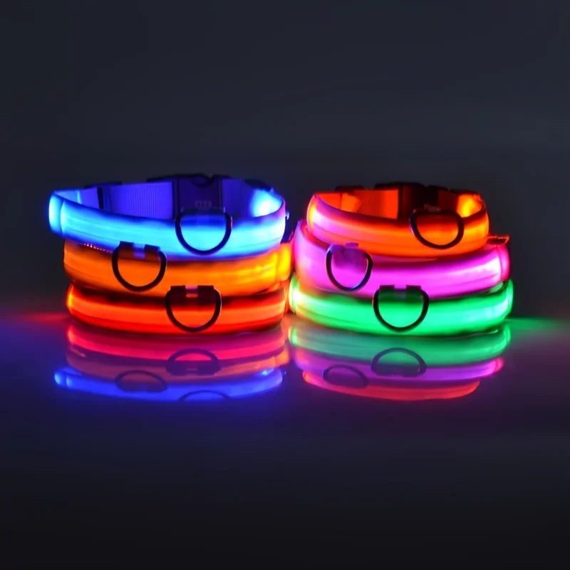 Close-up of nylon LED dog leash with flashing safety light
