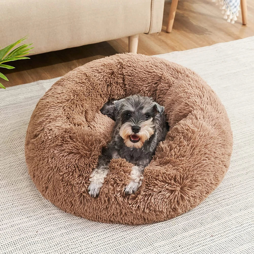The Takito Bed 🐾