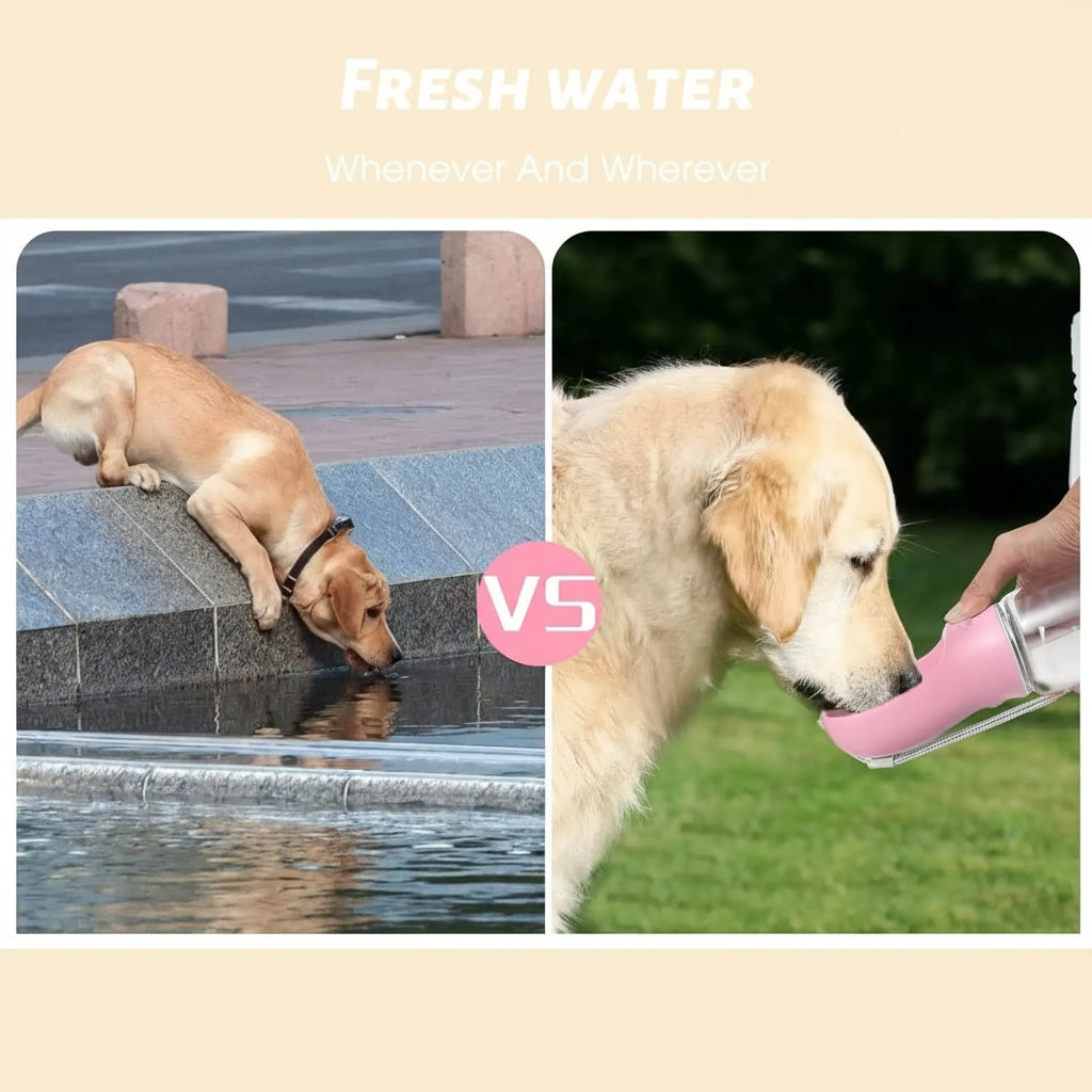 On-the-Go Pet Water Bottle