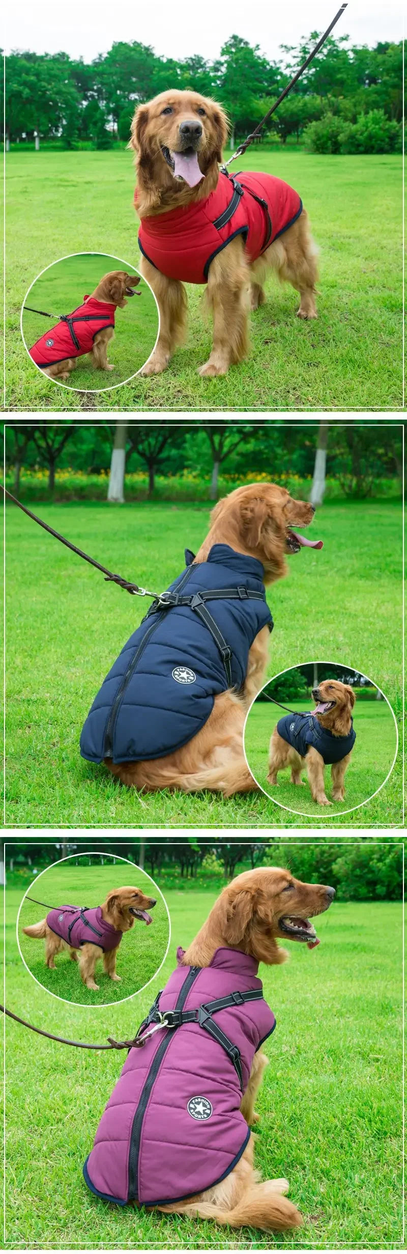 Waterproof Winter Dog Jacket with Harness — color and size options