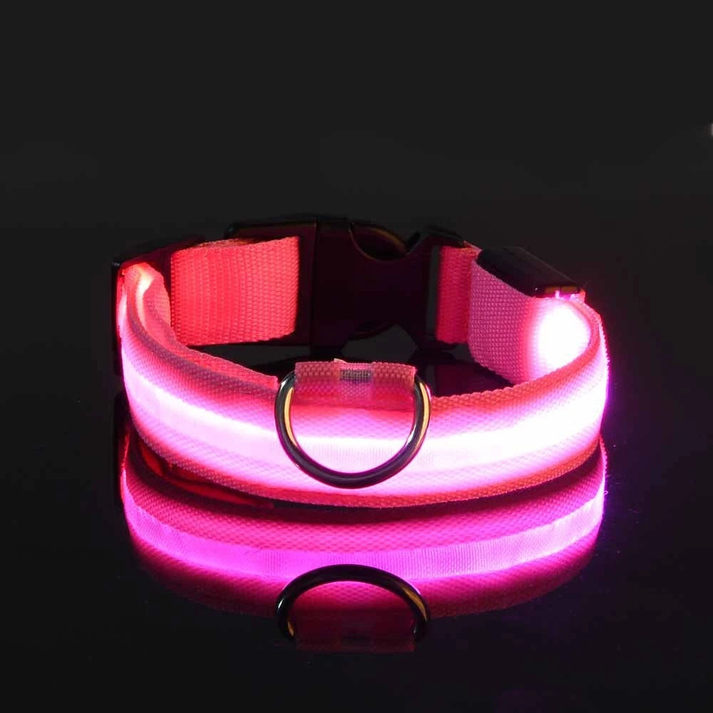 LED dog leash — nylon safety leash with flashing light, final product photo