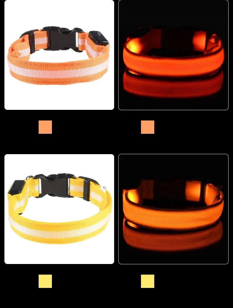 LED dog leash material and stitching detail