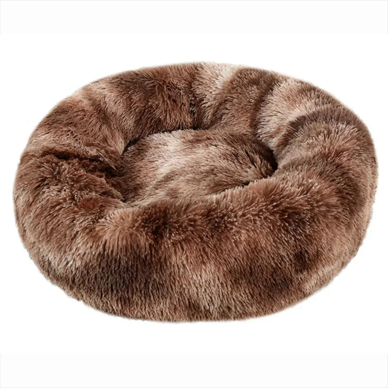 The Takito Bed 🐾