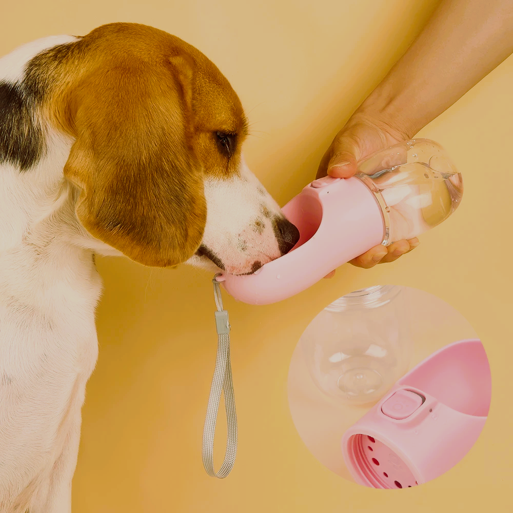 On-the-Go Pet Water Bottle