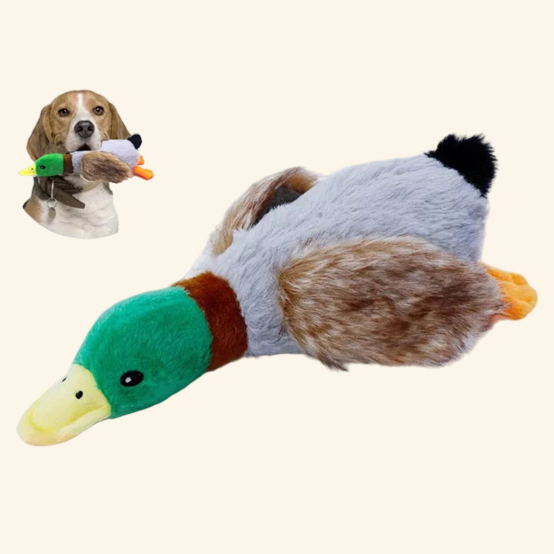Squeaky Plush Duck Dog Toy — Soft Chew & Rope Toy for Dental Health — packaging
