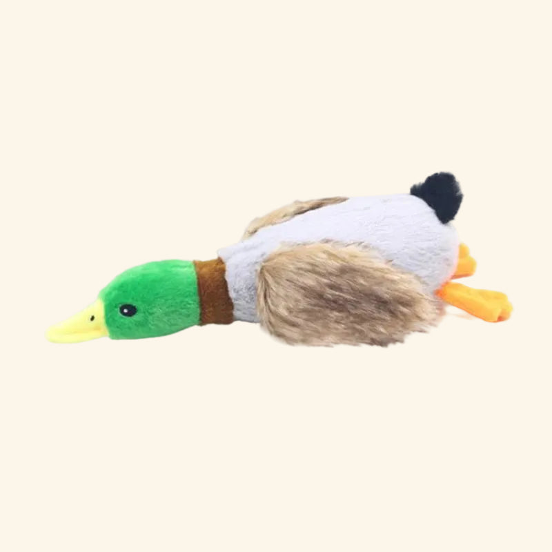 Squeaky Plush Duck Dog Toy — full product view