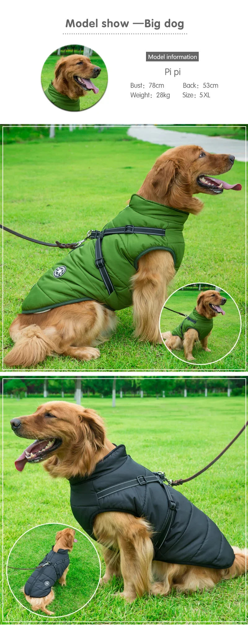 Waterproof Winter Dog Jacket with Harness — detail close-up