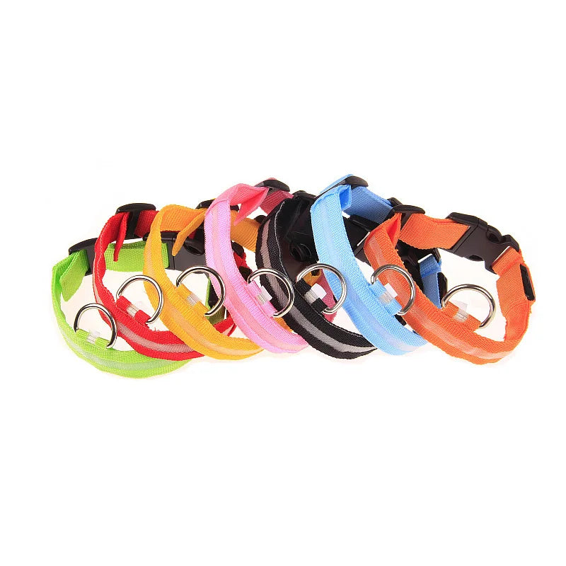 Nylon LED safety leash for dogs, glow-in-the-dark design