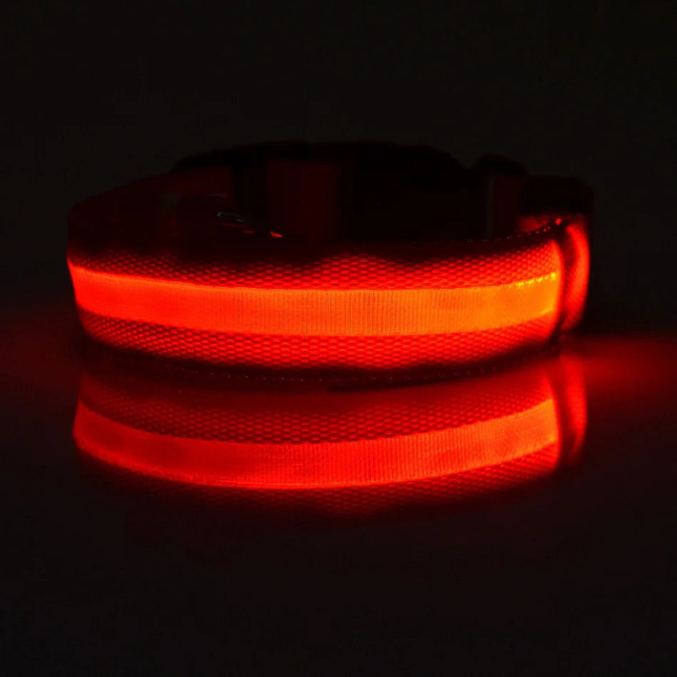 LED dog leash flashing light modes demonstration