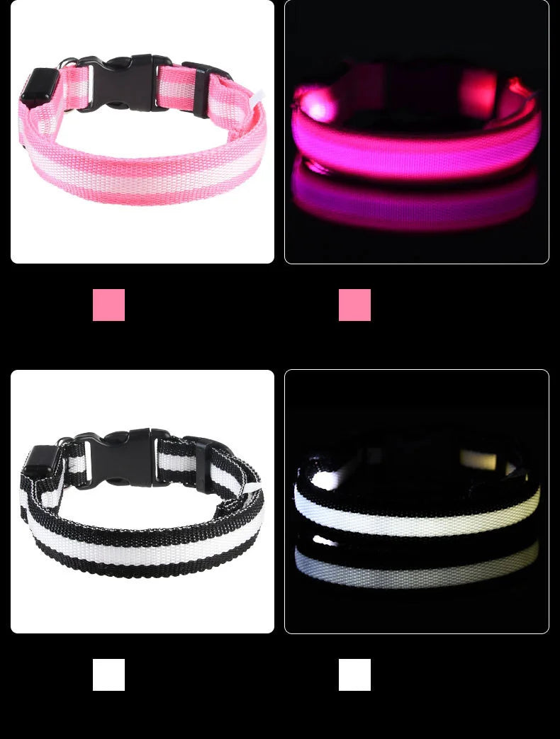 LED dog leash handle and clip detail
