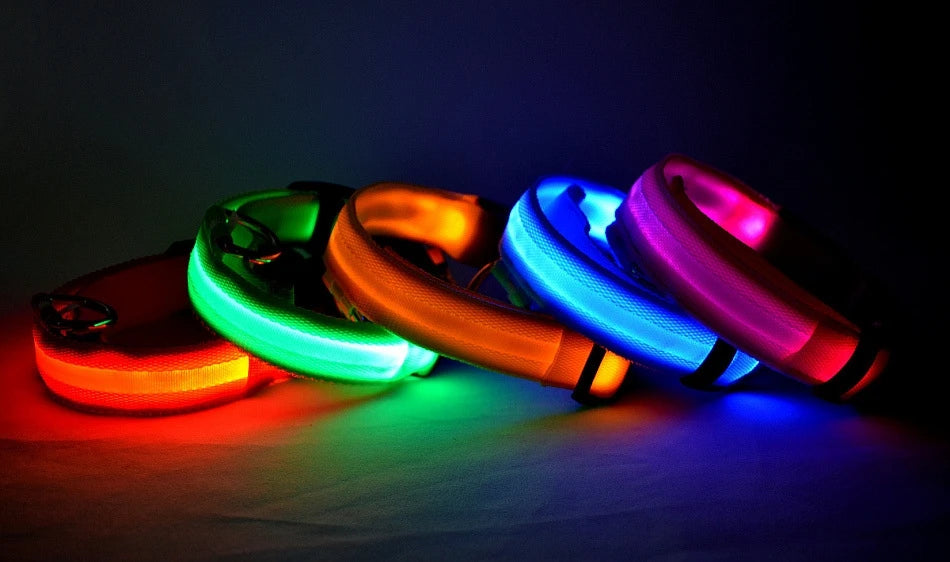 Nylon LED safety leash for dogs — color variety