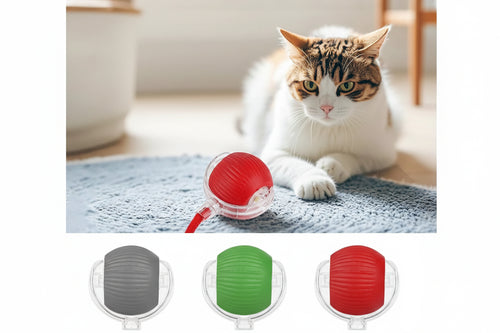 Smart Interactive Rolling Ball Cat Toy — Rechargeable shown in use