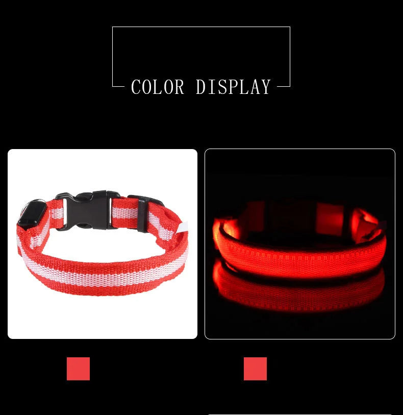 LED dog leash battery and light mechanism close-up
