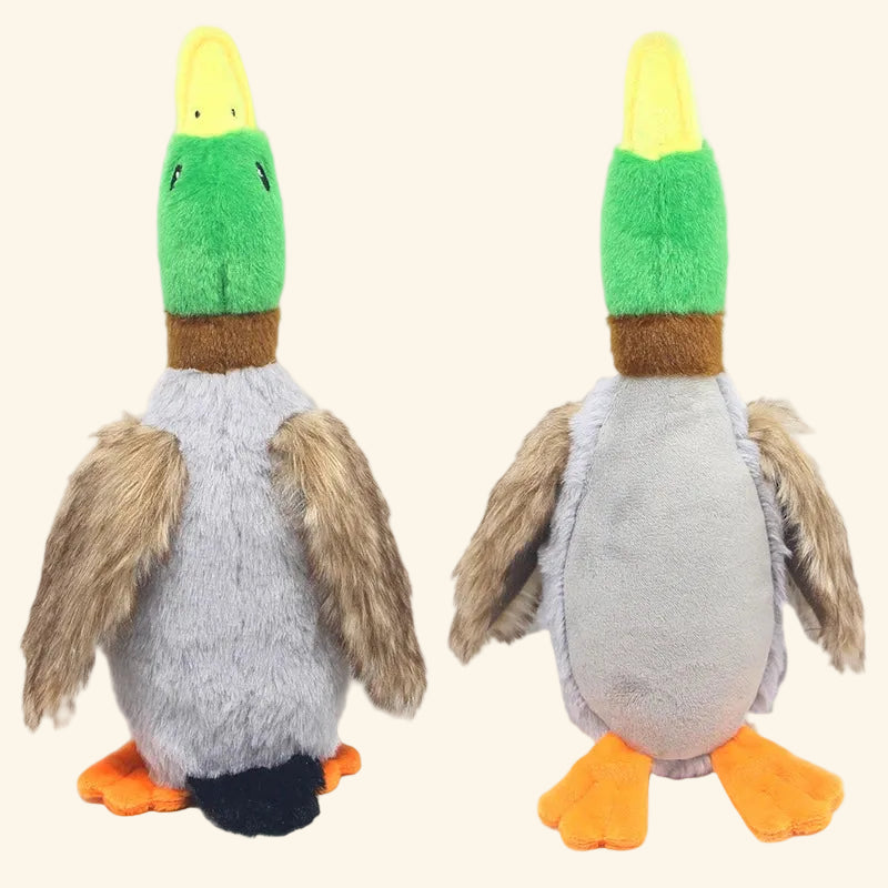 Squeaky Plush Duck Dog Toy — Soft Chew & Rope Toy for Dental Health — additional angle